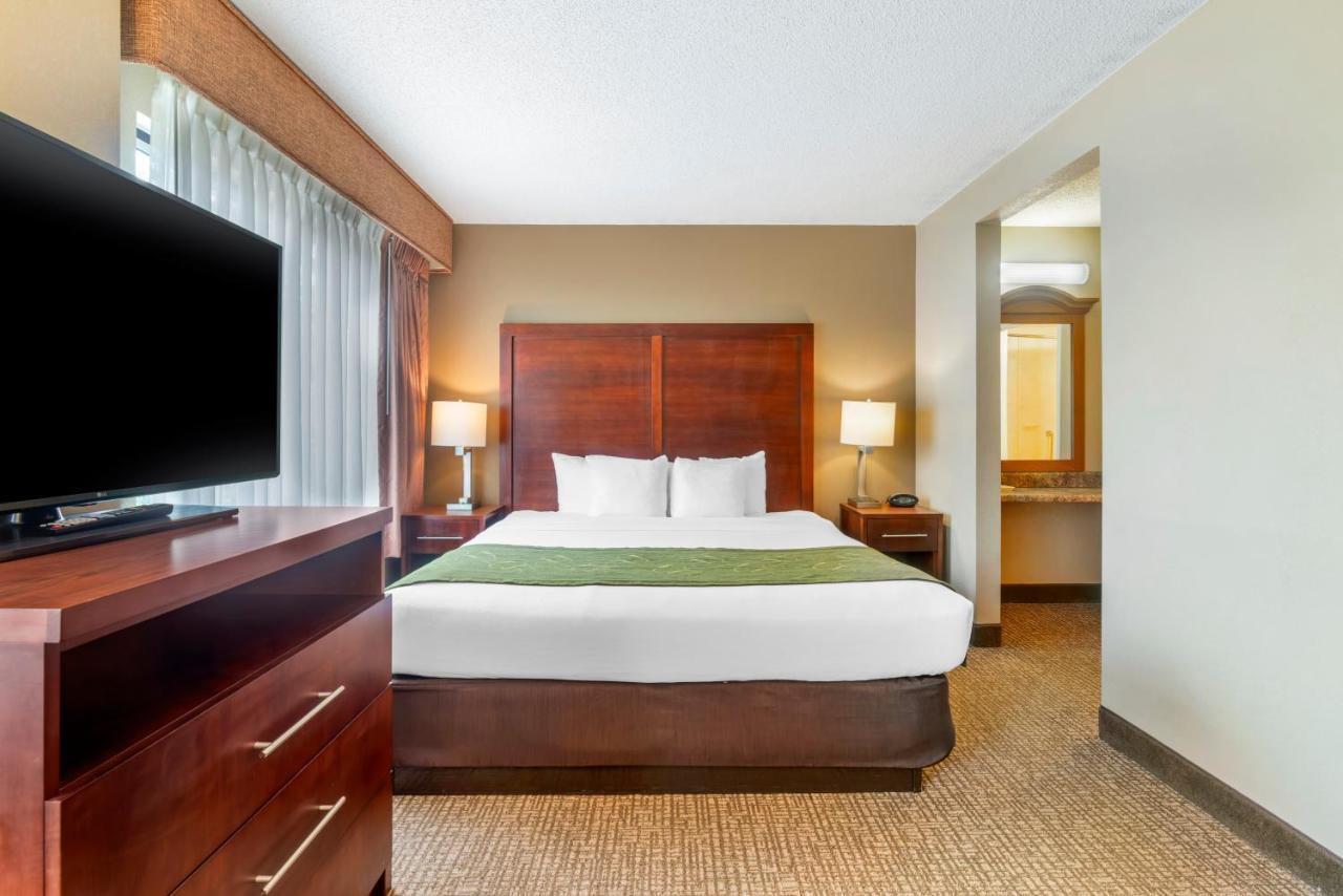 Comfort Near Downtown Hotel